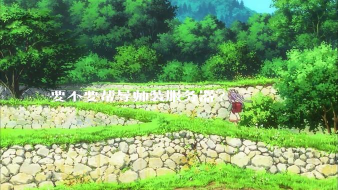 要不要帮导师装服务器?