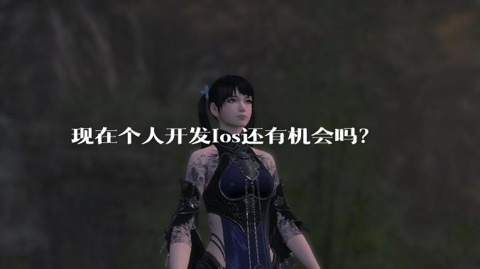 现在个人开发ios还有机会吗？