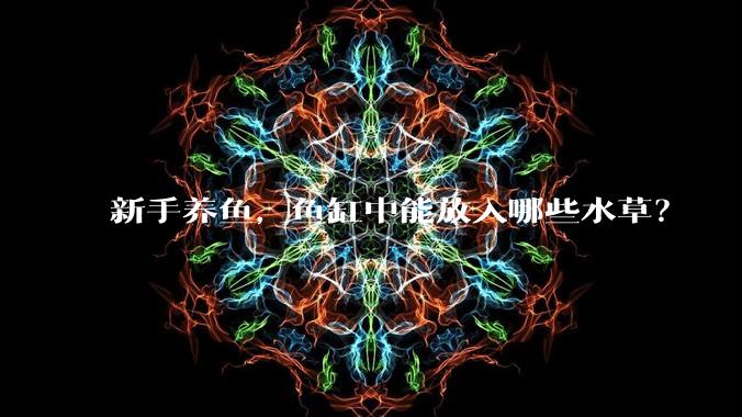 新手养鱼，鱼缸中能放入哪些水草？