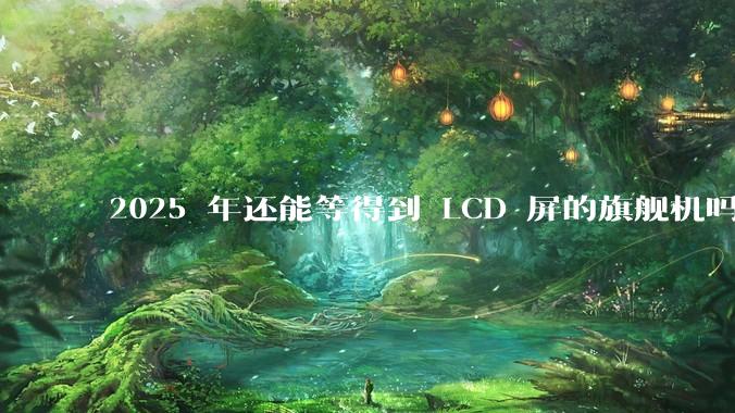 2025 年还能等得到 LCD 屏的旗舰机吗？