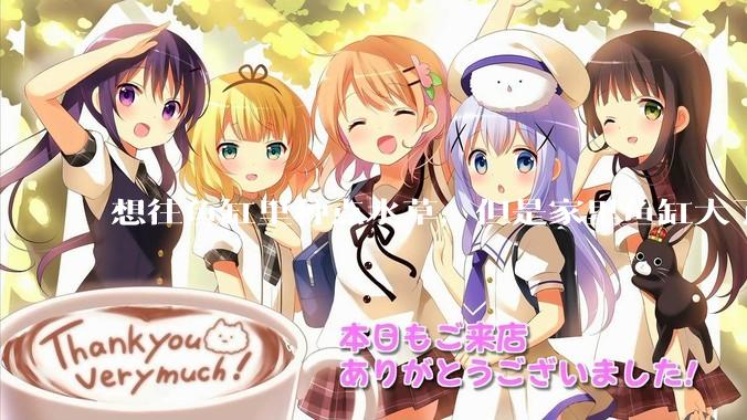 想往鱼缸里种点水草，但是家里鱼缸大了买水草泥或者底砂太贵了，有没有生活中可以替代的物品或其他建议？