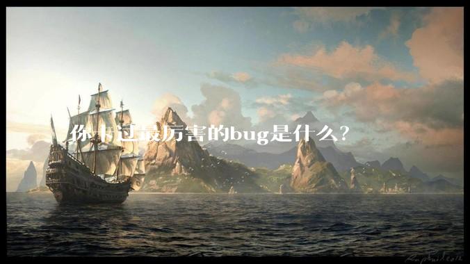 你卡过最厉害的bug是什么？