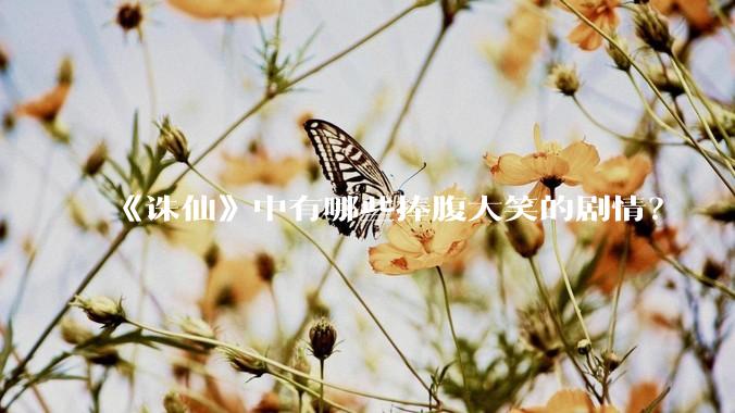 《诛仙》中有哪些捧腹大笑的剧情？