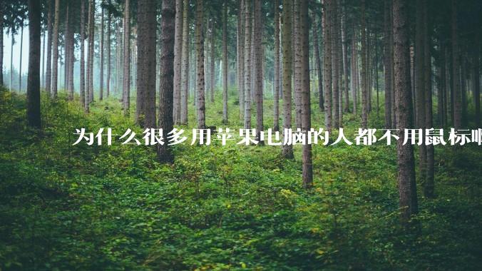 为什么很多用苹果电脑的人都不用鼠标啊?