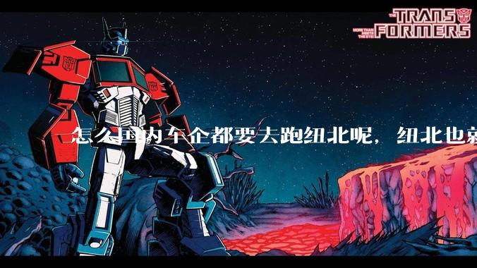 怎么国内车企都要去跑纽北呢，纽北也就是个普通赛道?