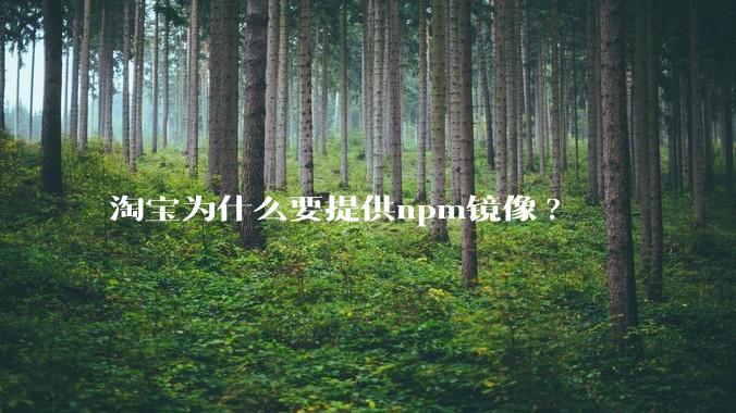 淘宝为什么要提供npm镜像?