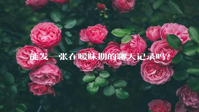 能发一张在暧昧期的聊天记录吗？