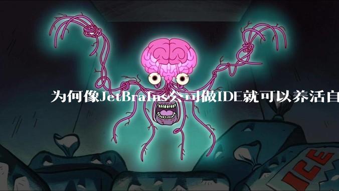 为何像JetBrains公司做IDE就可以养活自己，而国内做大型对公软件都很难养活公司？