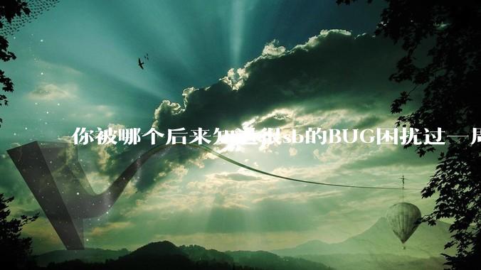 你被哪个后来知道很sb的BUG困扰过一周以上吗？