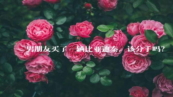 男朋友买了一辆比亚迪秦，该分手吗？